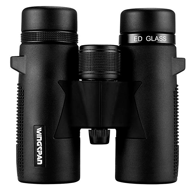 Wingspan Optics Willow UltraHD 8X32 - Compact Binoculars for Bird Watching With ED Glass. Compact, Waterproof, Fogproof Binoculars Reveal Extraordinary Color in Ultra HD 8x32 Magnification