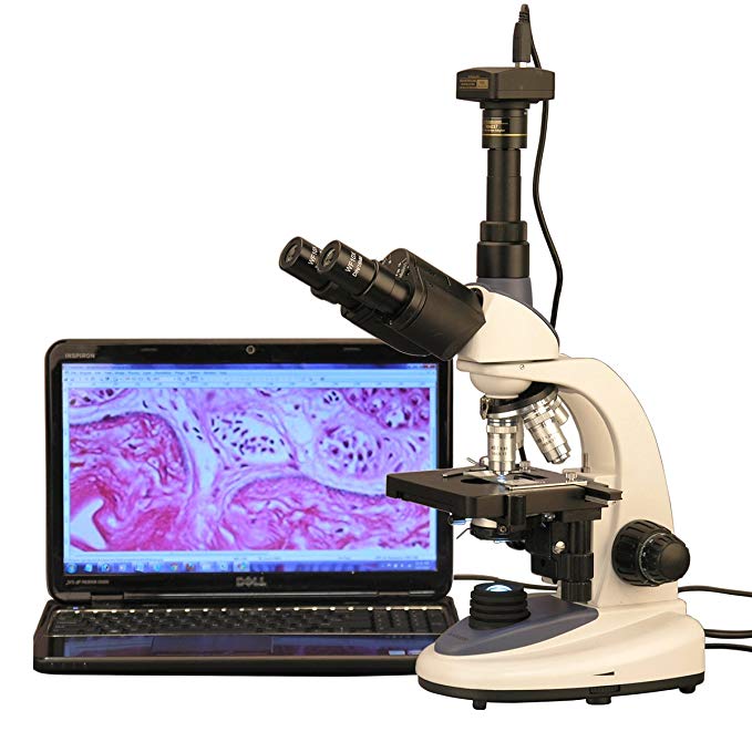 AmScope T380C-3M Digital Professional Compound Trinocular Microscope, 40X-2500X Magnification, WF10x and WF25x Eyepieces, Brightfield, LED Illumination, Abbe Condenser, Double-Layer Mechanical Stage, 85-265V Wide-Voltage Power Supply, Includes 3MP Camera with Reduction Lens and Software