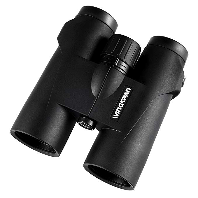 Wingspan Optics PrecisionView 10X42 HD Professional Binoculars for Bird Watching. Phase Correcting Laser 10X Focus Closes in to the Sharpest, Brightest, Clearest Detail. Waterproof. Fogproof
