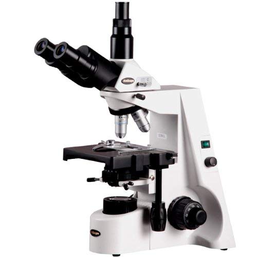 AmScope T660B Professional Trinocular Compound Microscope, 40X-2000X Magnification, WH10x and WH20x Super-Widefield Eyepieces, Semi-Plan Objectives, Brightfield, Kohler Condenser, Double-Layer Mechanical Stage