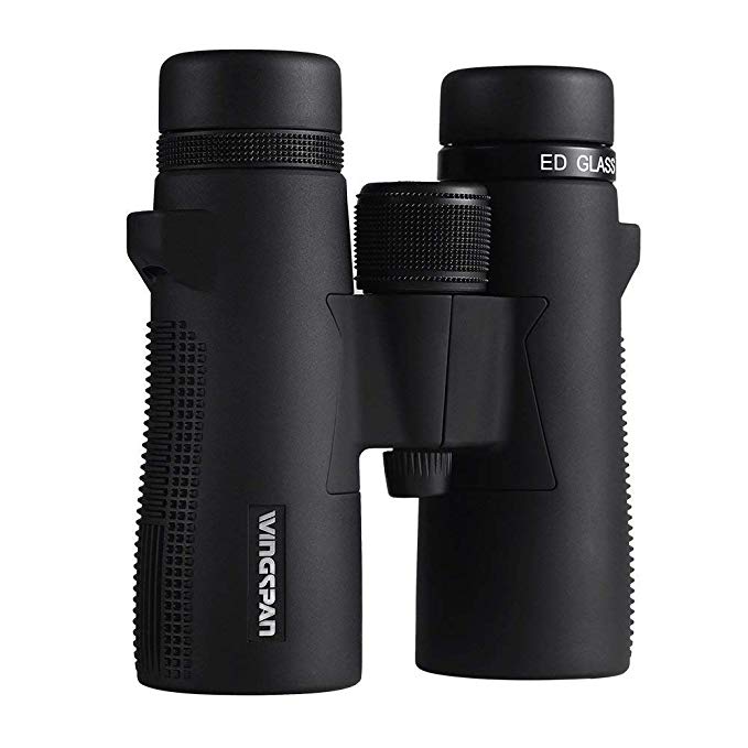 Wingspan Optics Phoenix Ultra HD - 8X42 Bird Watching Binoculars with ED Glass. Exclusively for Enhanced Bird Watching with ED Glass, Phase Coating, Close Focus, and 393 Ft Extra-Wide Field of View.