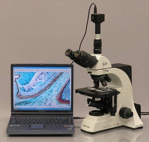 AmScope T700A-9M Digital Professional Trinocular Compound Microscope, 40X-1500X Magnification, PL10x and WH15x Super-Widefield Eyepieces, Quintuple Nosepiece with 5 Infinity Plan Objectives, Brightfield, Kohler Condenser, Double-Layer Mechanical Stage, Includes 9MP Camera with Reduction Lens and Software