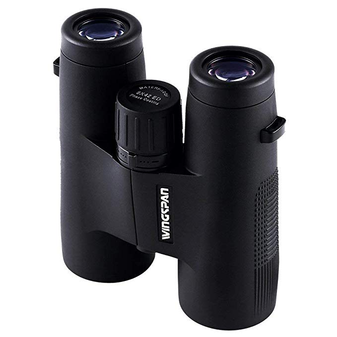 Wingspan Optics SkyBirder Ultra HD - 8X42 Binoculars for Bird Watching for Adults with ED Glass. Extra Wide Field of View, Close Focus, and Phase Coated for the Ultimate Birding Experience. Waterproof