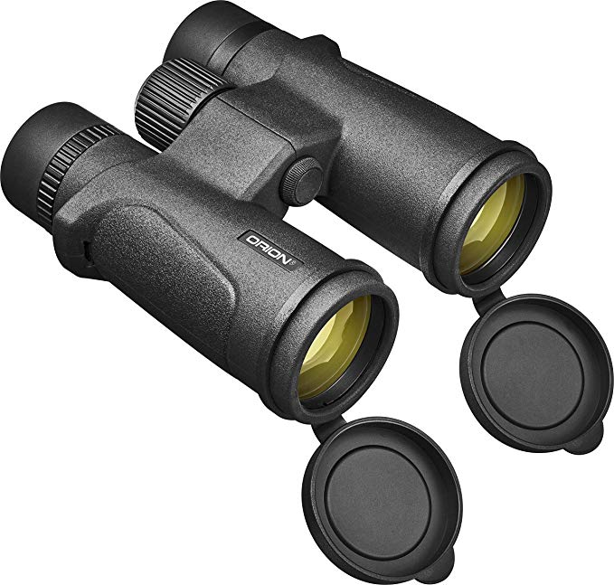 Orion Shoreview Pro II ED 10x42 WP Binocular, Black (51693)
